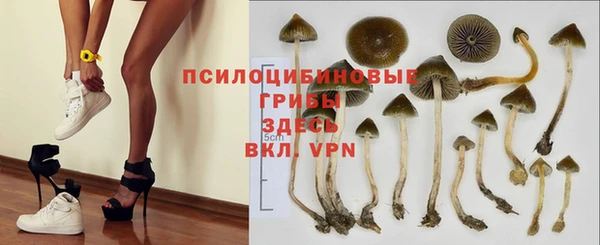мескалин Майский