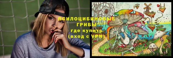 прущий лед Магас