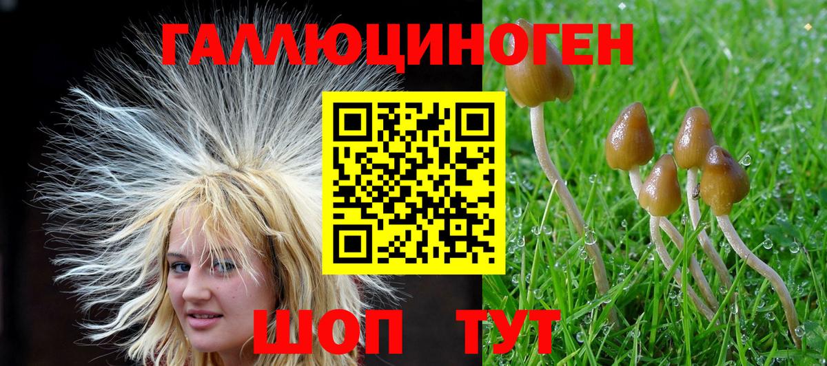 Галлюциногенные грибы мухоморы  закладки  Вход с VPN  Протвино  Галлюциногенные грибы ЛСД 