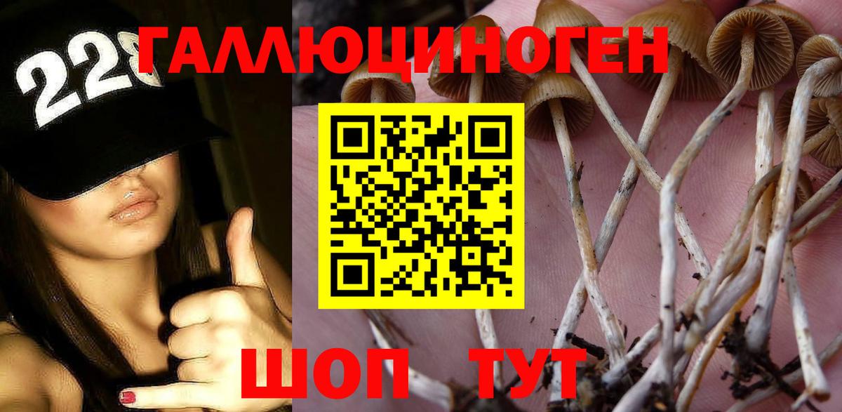 Галлюциногенные грибы GOLDEN TEACHER Протвино