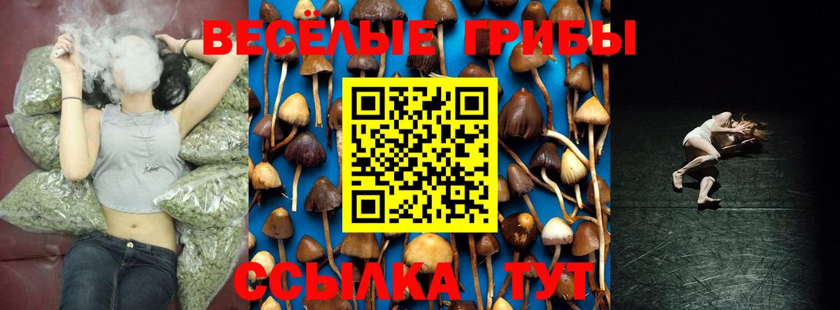 Меф МЯУ МЯУ кристаллы  Каннабис  Протвино  ТГК  Вход с VPN  ГАШ  МЕТАМФЕТАМИН  COCAIN 