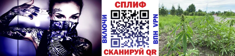 Каннабис марихуана  KRAKEN вход  Протвино 